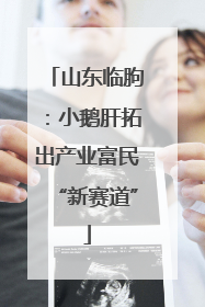 山东临朐：小鹅肝拓出产业富民“新赛道”