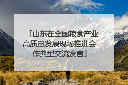 山东在全国粮食产业高质量发展现场推进会作典型交流发言