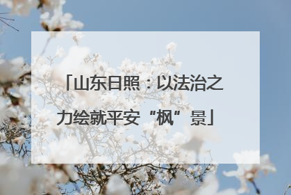 山东日照：以法治之力绘就平安“枫”景