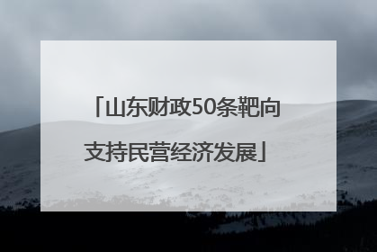 山东财政50条靶向支持民营经济发展