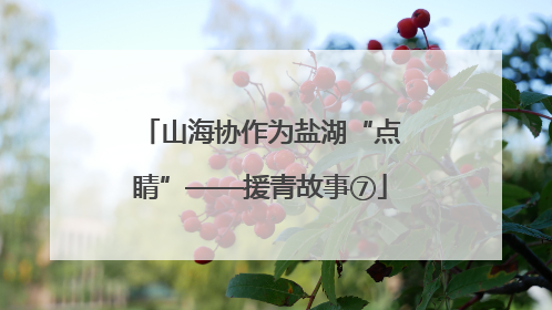 山海协作为盐湖“点睛”——援青故事⑦