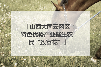 山西大同云冈区：特色优势产业催生农民“致富花”