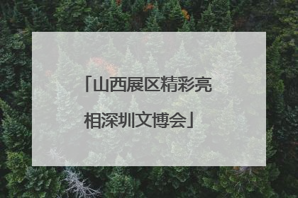 山西展区精彩亮相深圳文博会