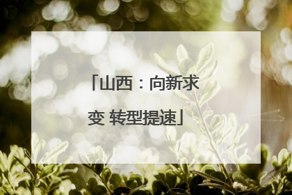 山西：向新求变 转型提速