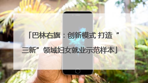 巴林右旗：创新模式 打造“三新”领域妇女就业示范样本