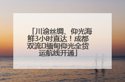 川渝丝绸、仰光海鲜3小时直达！成都双流⇌缅甸仰光全货运航线开通
