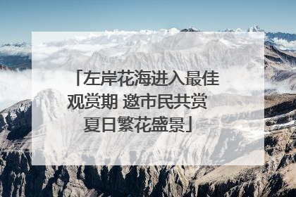 左岸花海进入最佳观赏期 邀市民共赏夏日繁花盛景