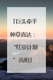 巨头牵手种草直达：“红京计划”亮相