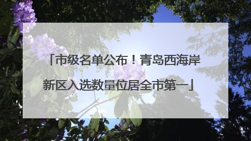 市级名单公布！青岛西海岸新区入选数量位居全市第一