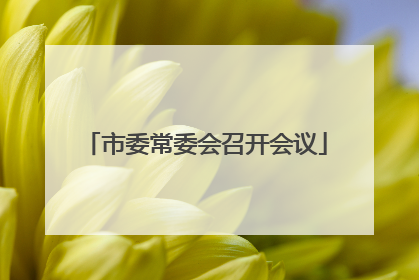 市委常委会召开会议