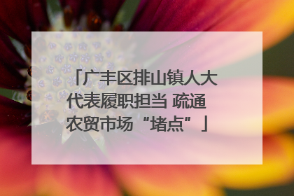 广丰区排山镇人大代表履职担当 疏通农贸市场“堵点”