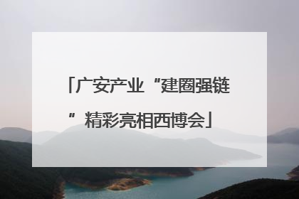 广安产业“建圈强链”精彩亮相西博会