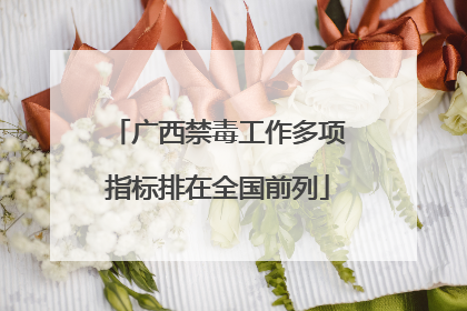 广西禁毒工作多项指标排在全国前列