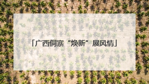 广西侗寨“焕新”展风情