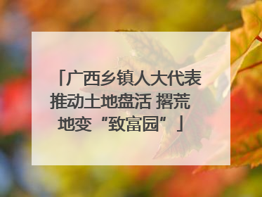 广西乡镇人大代表推动土地盘活 撂荒地变“致富园”