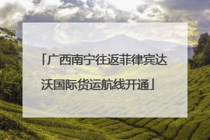 广西南宁往返菲律宾达沃国际货运航线开通