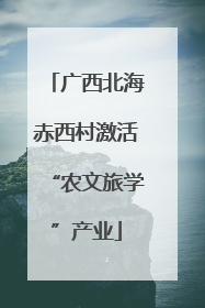 广西北海赤西村激活“农文旅学”产业
