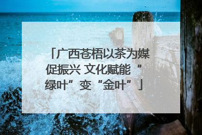 广西苍梧以茶为媒促振兴 文化赋能“绿叶”变“金叶”