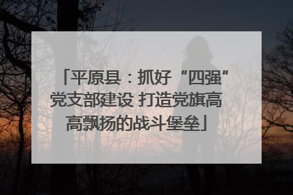 平原县：抓好“四强”党支部建设 打造党旗高高飘扬的战斗堡垒