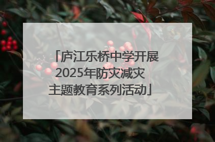 庐江乐桥中学开展2025年防灾减灾主题教育系列活动