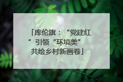 库伦旗：“党建红”引领“环境美” 共绘乡村新画卷