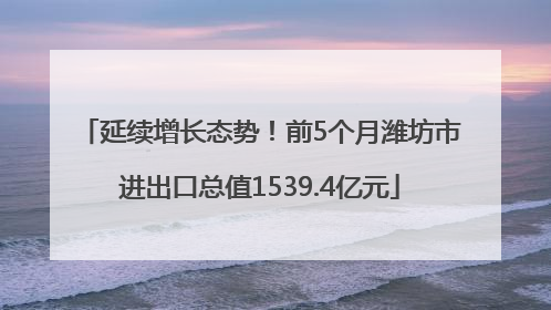 延续增长态势！前5个月潍坊市进出口总值1539.4亿元