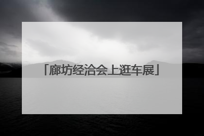 廊坊经洽会上逛车展