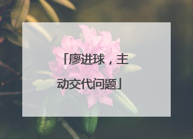 廖进球，主动交代问题