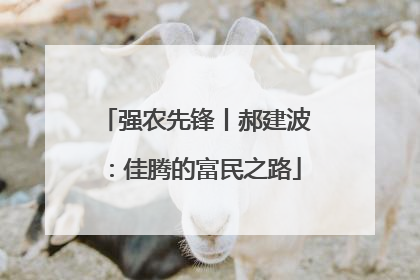 强农先锋丨郝建波：佳腾的富民之路