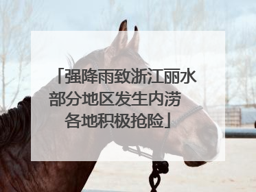 强降雨致浙江丽水部分地区发生内涝 各地积极抢险