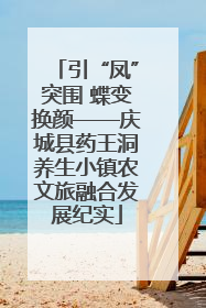 引“凤”突围 蝶变换颜——庆城县药王洞养生小镇农文旅融合发展纪实