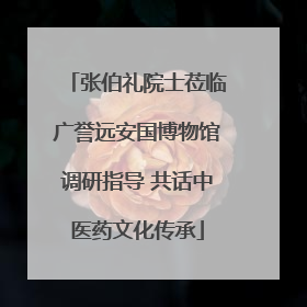 张伯礼院士莅临广誉远安国博物馆调研指导 共话中医药文化传承