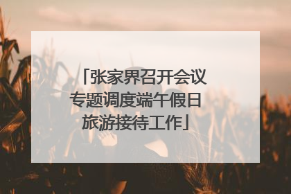 张家界召开会议专题调度端午假日旅游接待工作