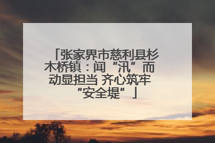 张家界市慈利县杉木桥镇：闻“汛”而动显担当 齐心筑牢“安全堤”