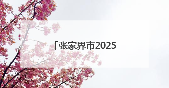 张家界市2025年“文化和自然遗产日”非遗宣传展示暨“非遗购物节”活动在慈利县盛大启幕