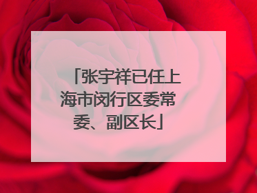 张宇祥已任上海市闵行区委常委、副区长