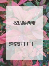 探访陕西宝鸡窑洞工厂
