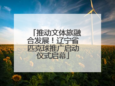 推动文体旅融合发展！辽宁省匹克球推广启动仪式启幕