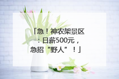 急！神农架景区：日薪500元，急招“野人”！