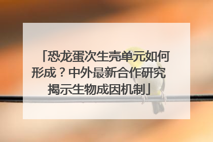 恐龙蛋次生壳单元如何形成？中外最新合作研究揭示生物成因机制