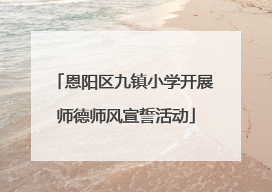 恩阳区九镇小学开展师德师风宣誓活动