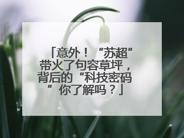 意外！“苏超”带火了句容草坪，背后的“科技密码”你了解吗？
