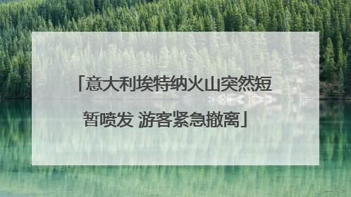 意大利埃特纳火山突然短暂喷发 游客紧急撤离