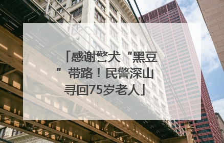 感谢警犬“黑豆”带路！民警深山寻回75岁老人