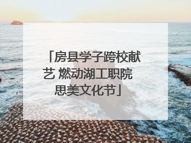 房县学子跨校献艺 燃动湖工职院思美文化节
