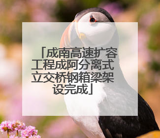 成南高速扩容工程成阿分离式立交桥钢箱梁架设完成