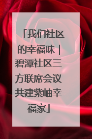 我们社区的幸福味｜碧潭社区三方联席会议共建紫岫幸福家