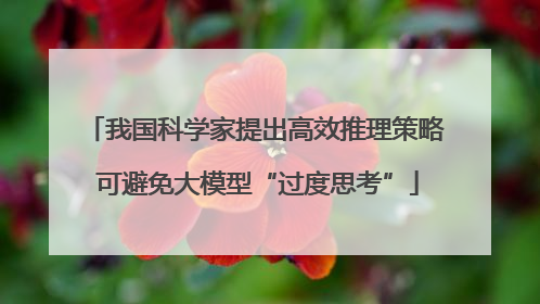 我国科学家提出高效推理策略 可避免大模型“过度思考”