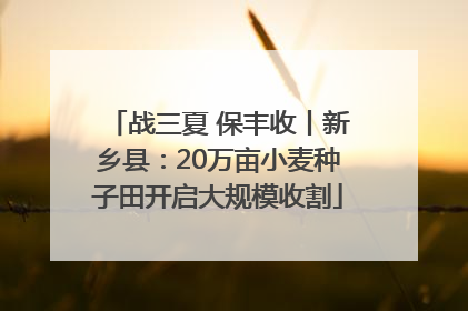 战三夏 保丰收丨新乡县：20万亩小麦种子田开启大规模收割
