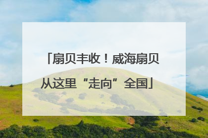 扇贝丰收！威海扇贝从这里“走向”全国